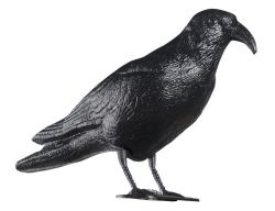 Odpuzovač holubů - maketa havrana 40 cm